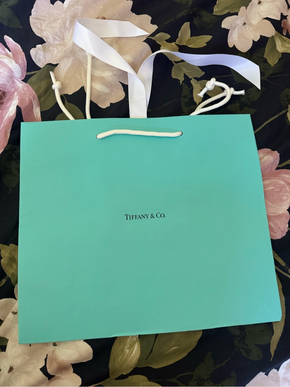 Tiffany & Co. Shopping Bag
